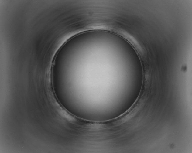 X0000101141236200807071118