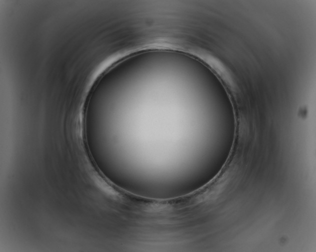 X0000101141238200807071118