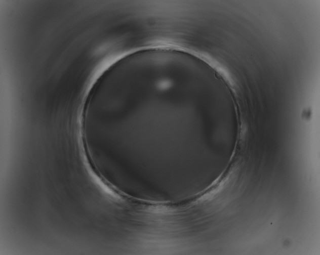 X0000101141239200807071118