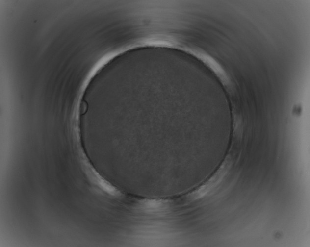 X0000101141240200807071118