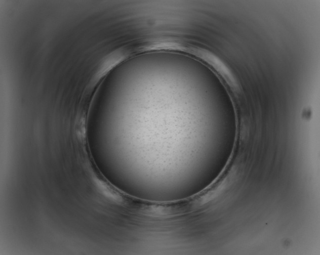 X0000101141241200807071119