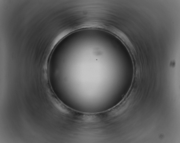 X0000101141242200807071119