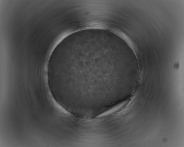 X0000101141243200807071119