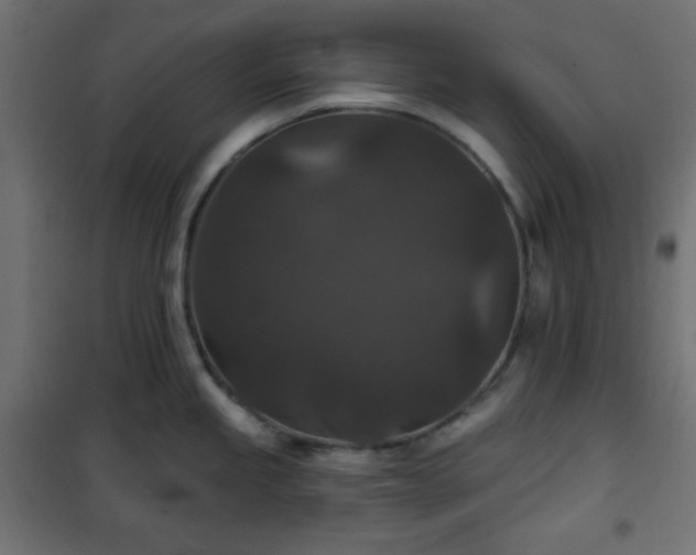 X0000101141245200807071119