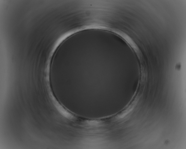 X0000101141246200807071119