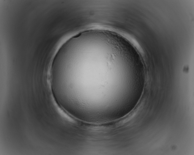 X0000101141247200807071119