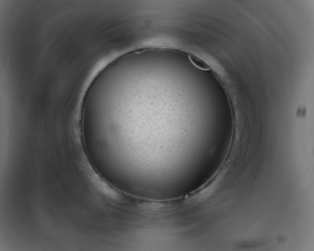 X0000101141248200807071119