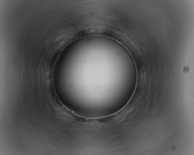 X0000101141250200807071118