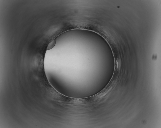 X0000101141251200807071118