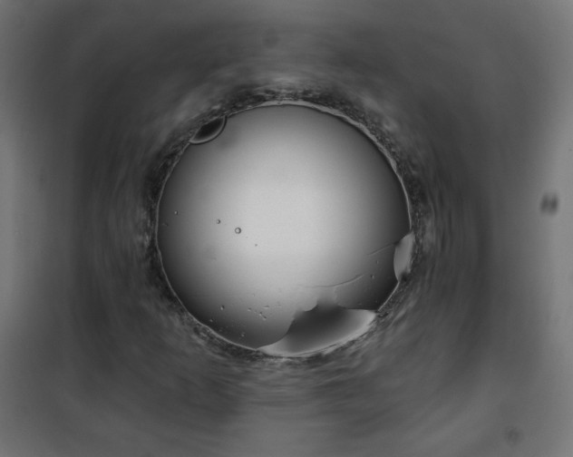 X0000101141253200807071118