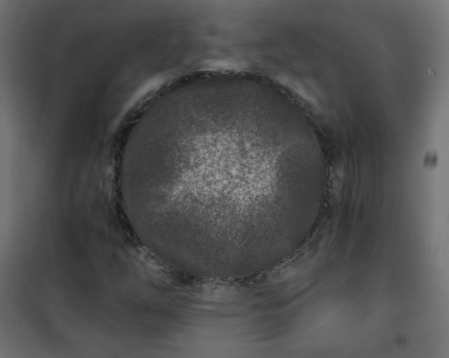 X0000101141254200807071118