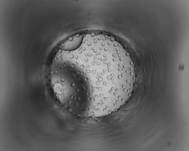 X0000101141255200807071118