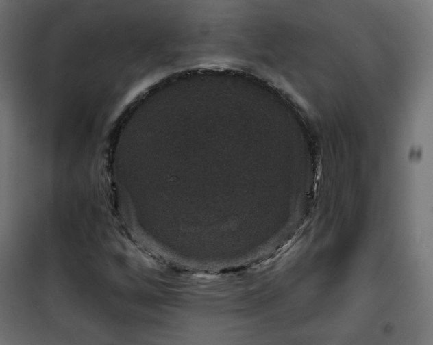 X0000101141256200807071118