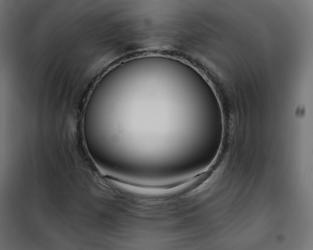 X0000101141257200807071118