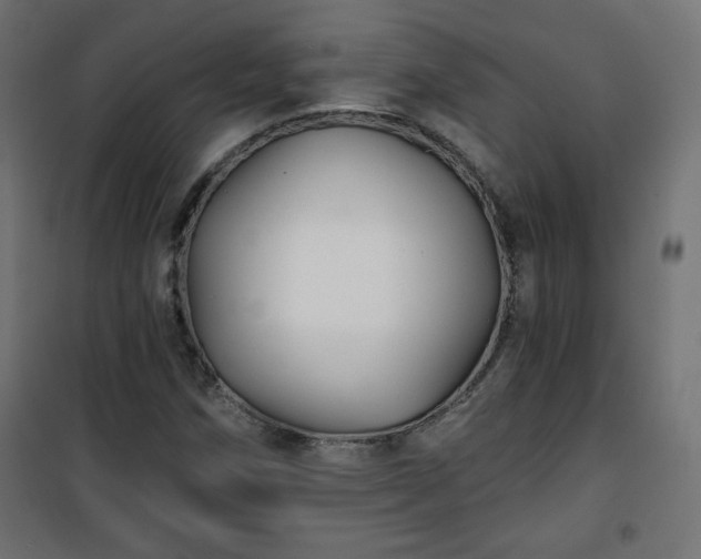 X0000101141258200807071118