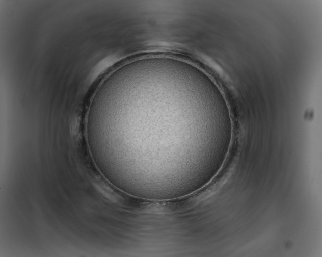 X0000101141259200807071118