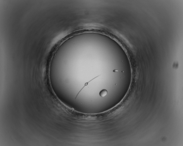 X0000101141261200807071118