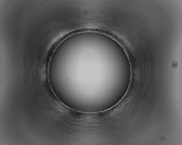 X0000101141262200807071118