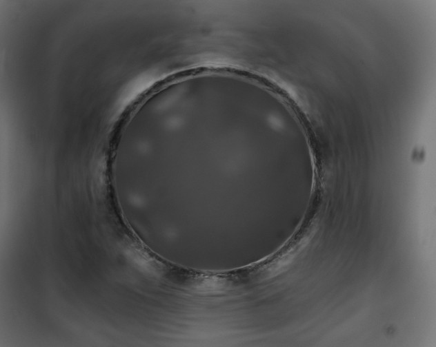 X0000101141263200807071118