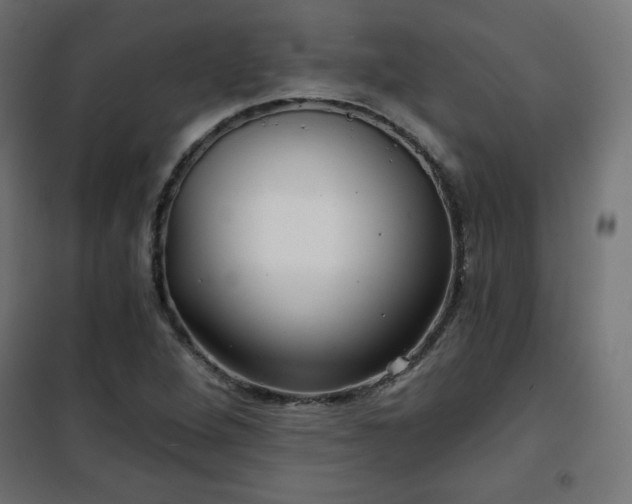 X0000101141264200807071118