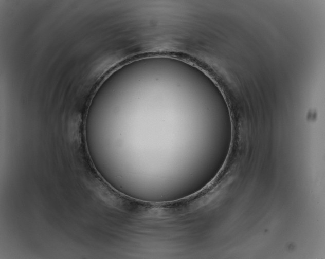 X0000101141265200807071118