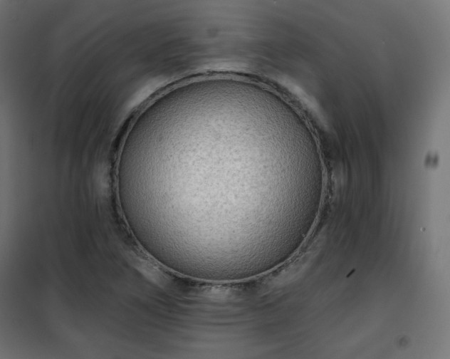 X0000101141266200807071118