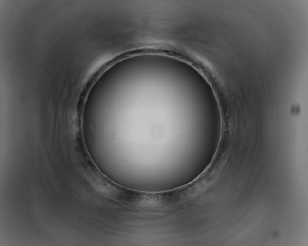 X0000101141267200807071118