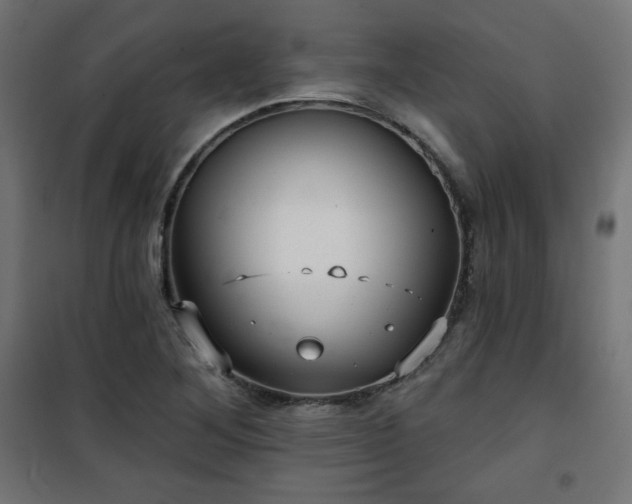 X0000101141268200807071118