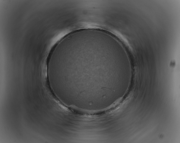 X0000101141269200807071118