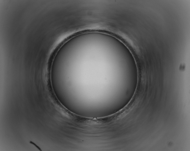 X0000101141270200807071118