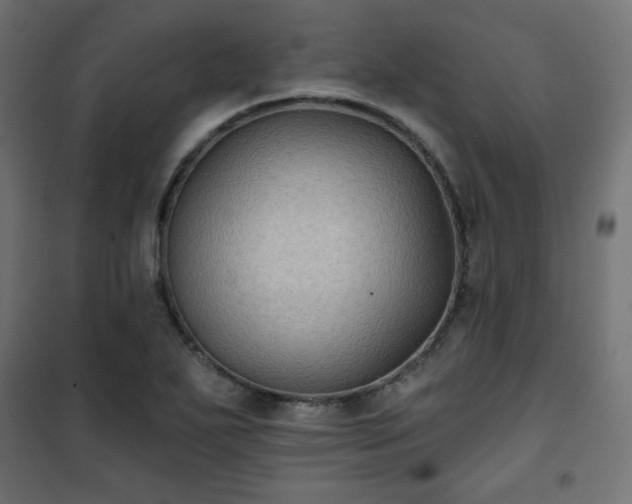 X0000101141271200807071118