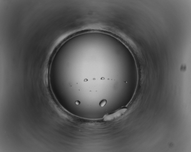 X0000101141272200807071118