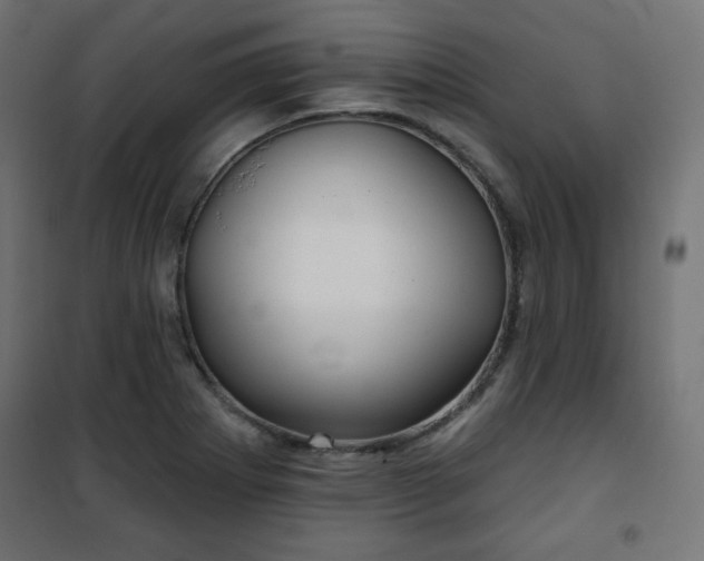 X0000101141273200807071118