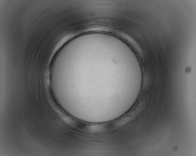 X0000101141274200807071117