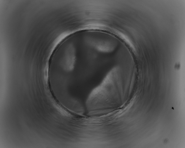 X0000101141275200807071117