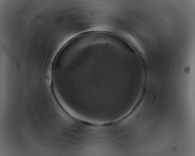 X0000101141276200807071117