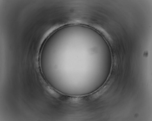 X0000101141278200807071117