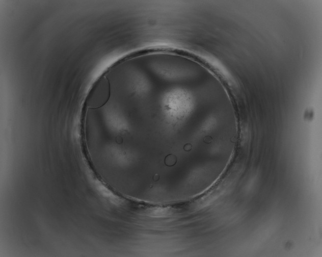 X0000101141279200807071117