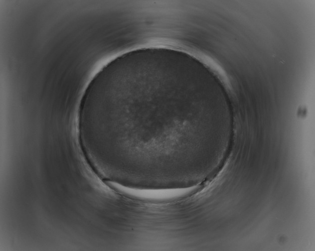 X0000101141280200807071117