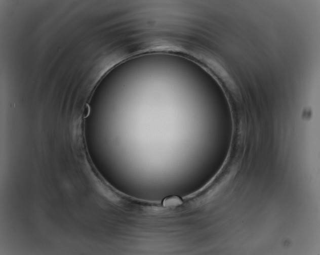 X0000101141281200807071117