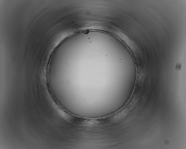 X0000101141282200807071117