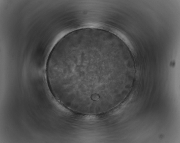 X0000101141283200807071117