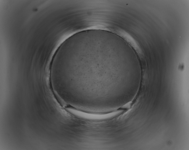 X0000101141284200807071117