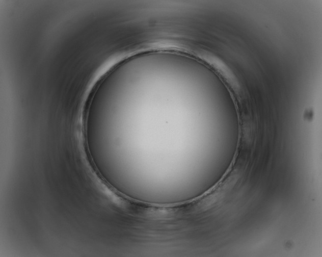 X0000101141286200807071117