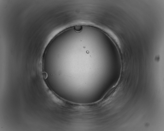 X0000101141287200807071117