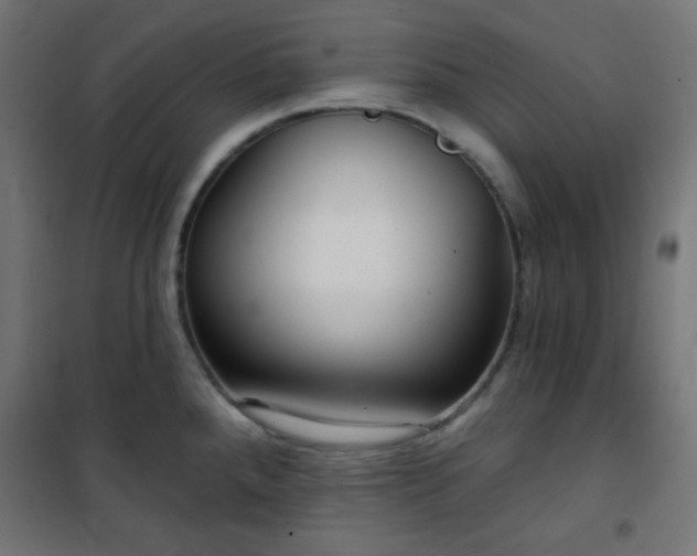 X0000101141288200807071117