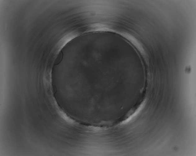 X0000101141289200807071117