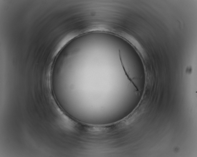 X0000101141290200807071117