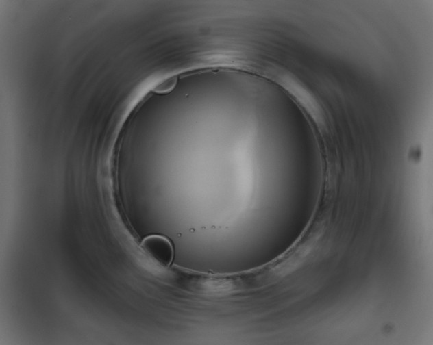 X0000101141291200807071117