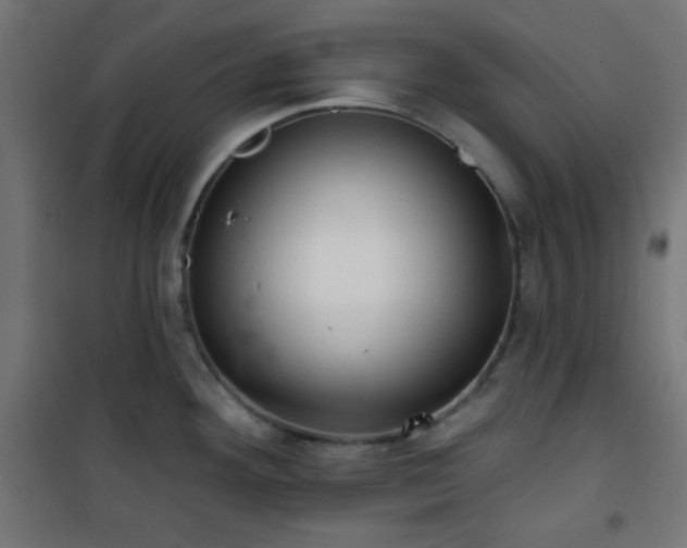 X0000101141292200807071117